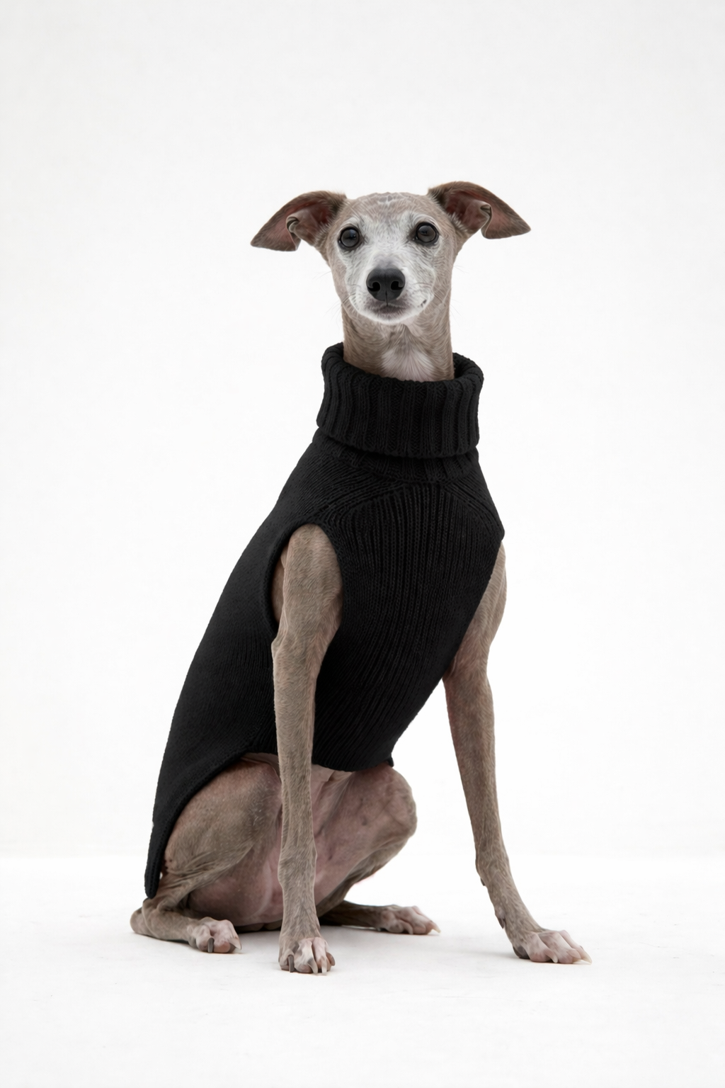 CASHMERE JERSEY DOG SWEATER